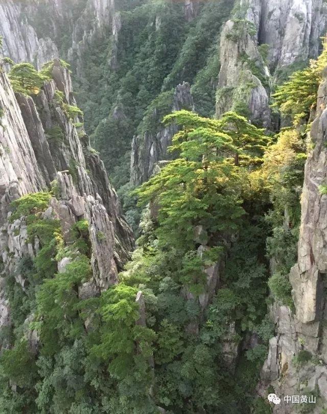 探秘湖北高院副院长张忠斌自杀身亡:心理卫生服务社会化任重道远!,解答你的疑问